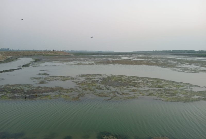 উপকূলীয় বন বিভাগের ছনুয়া রেঞ্জ এর খুদুকখালী মৌজার ২০০ একর খাসজমিতে লবণ চাষ ও চিংড়ি ঘের করেছে হারুন বাহিনী